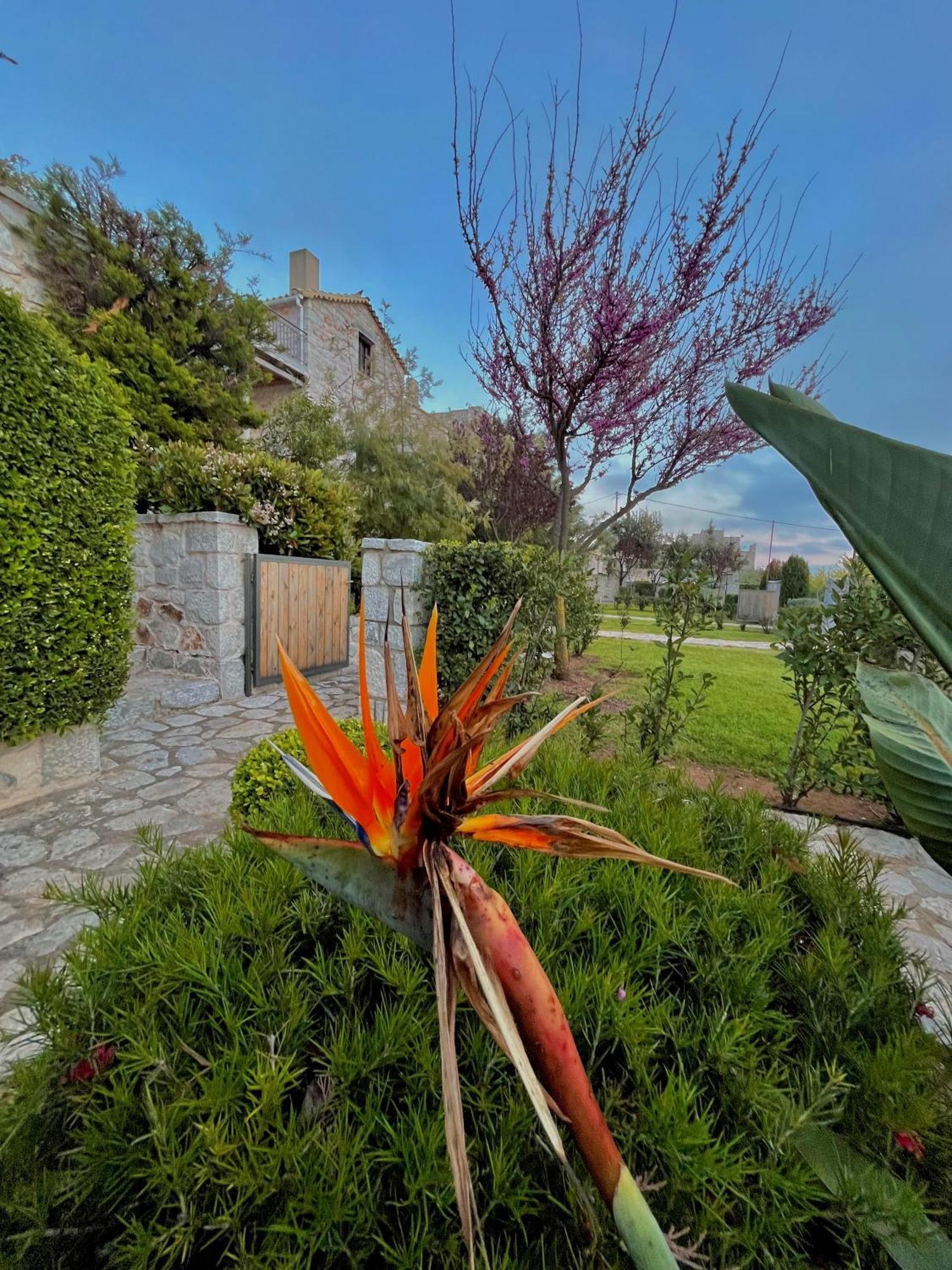 Achelatis Traditional Guest Houses Areopoli Exterior foto